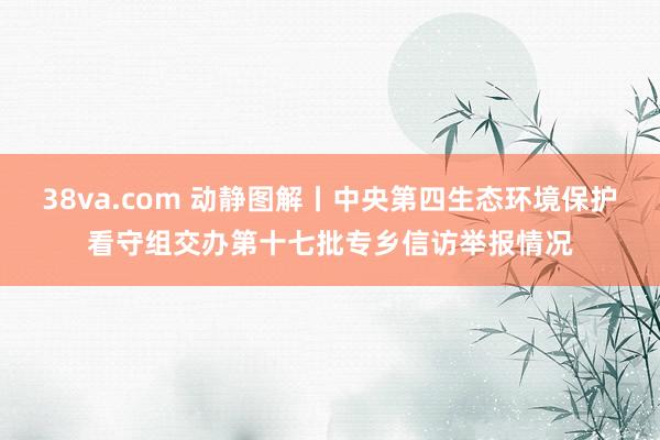 38va.com 动静图解丨中央第四生态环境保护看守组交办第十七批专乡信访举报情况