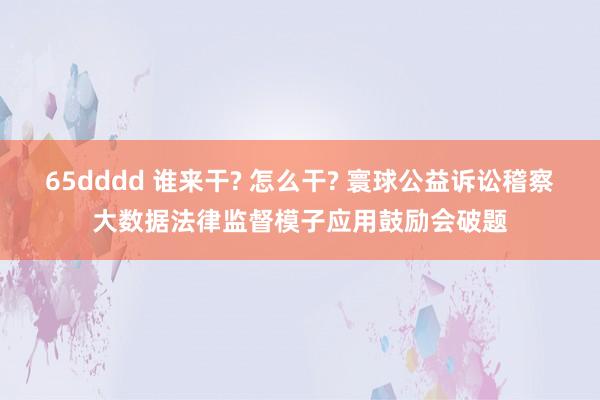 65dddd 谁来干? 怎么干? 寰球公益诉讼稽察大数据法律监督模子应用鼓励会破题