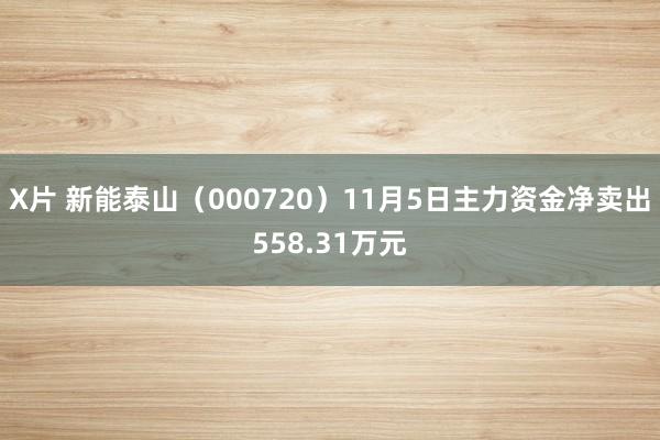 X片 新能泰山（000720）11月5日主力资金净卖出558.31万元