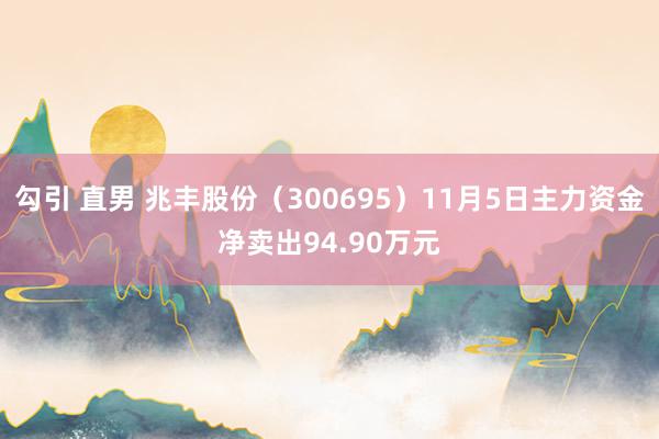 勾引 直男 兆丰股份（300695）11月5日主力资金净卖出94.90万元