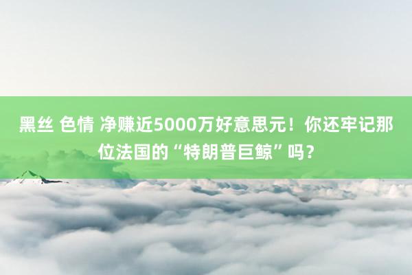 黑丝 色情 净赚近5000万好意思元！你还牢记那位法国的“特朗普巨鲸”吗？