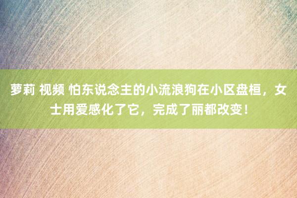 萝莉 视频 怕东说念主的小流浪狗在小区盘桓，女士用爱感化了它，完成了丽都改变！