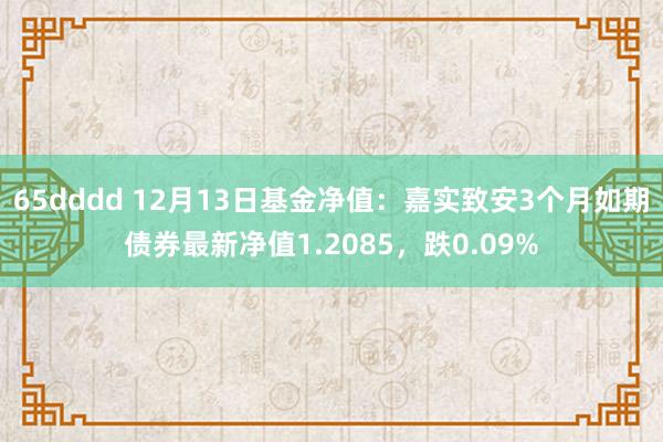 65dddd 12月13日基金净值：嘉实致安3个月如期债券最新净值1.2085，跌0.09%