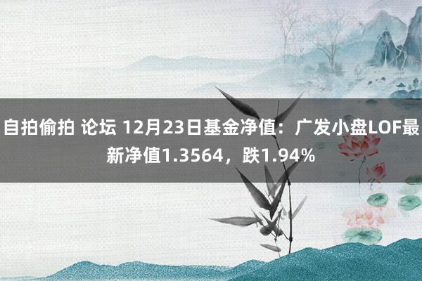 自拍偷拍 论坛 12月23日基金净值：广发小盘LOF最新净值1.3564，跌1.94%