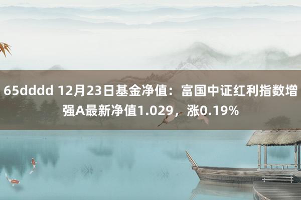 65dddd 12月23日基金净值：富国中证红利指数增强A最新净值1.029，涨0.19%