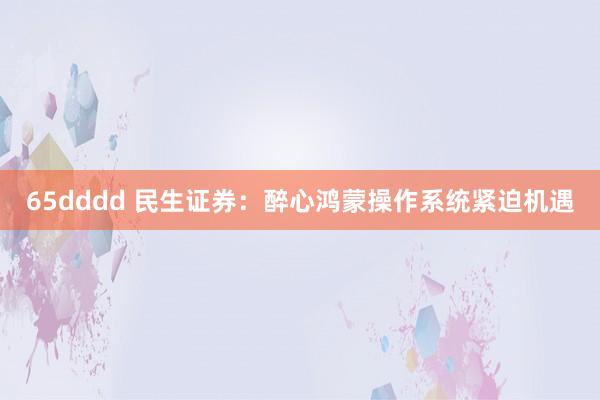 65dddd 民生证券：醉心鸿蒙操作系统紧迫机遇