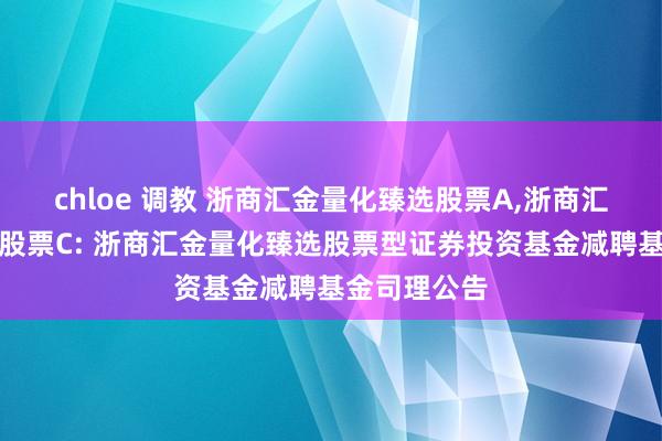 chloe 调教 浙商汇金量化臻选股票A，浙商汇金量化臻选股票C: 浙商汇金量化臻选股票型证券投资基金减聘基金司理公告