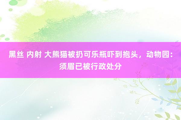 黑丝 内射 大熊猫被扔可乐瓶吓到抱头，动物园：须眉已被行政处分