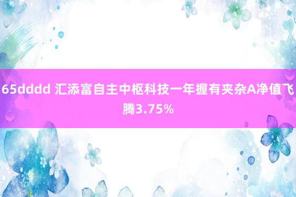 65dddd 汇添富自主中枢科技一年握有夹杂A净值飞腾3.75%