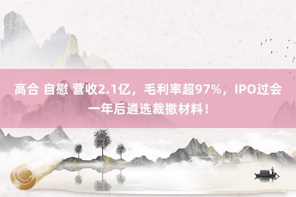 高合 自慰 营收2.1亿，毛利率超97%，IPO过会一年后遴选裁撤材料！