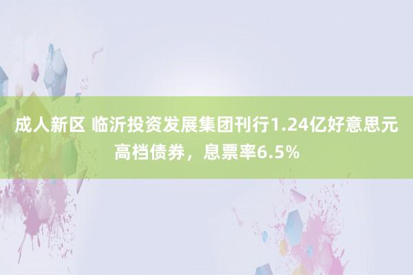 成人新区 临沂投资发展集团刊行1.24亿好意思元高档债券，息票率6.5%